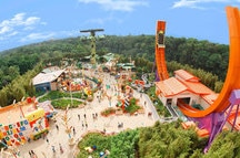 Disneyland Disneyland